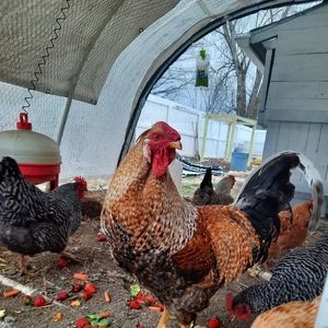 Meet your Posher, Jackie